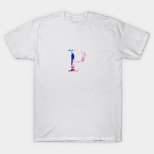 Rainbow Marble Rho T-Shirt